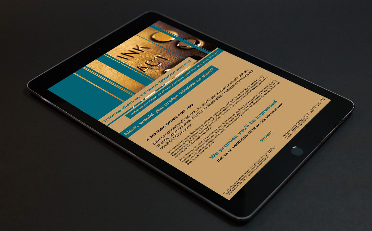 second screenshot of the internal page of the INTRUVERT company