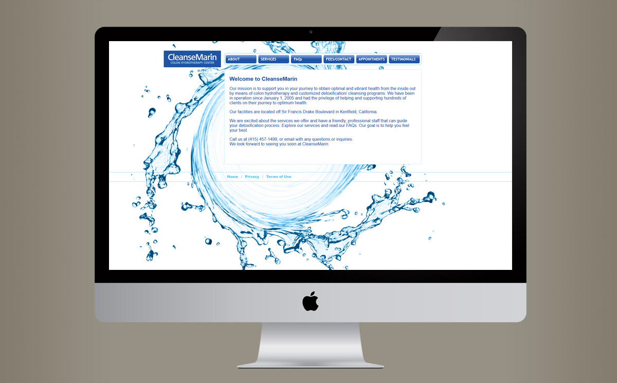second screenshot of the internal page of the CleanseMarin company